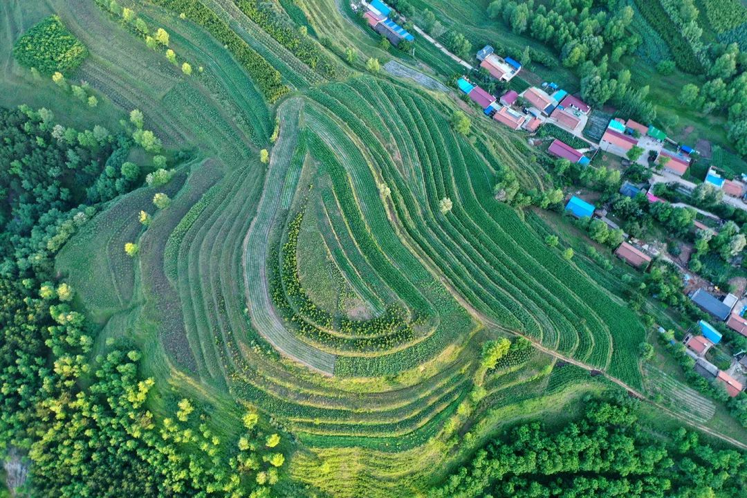 生態(tài)系統(tǒng)健康和管理——加強生態(tài)技術和工程管理，促進生態(tài)系統(tǒng)健康發(fā)展